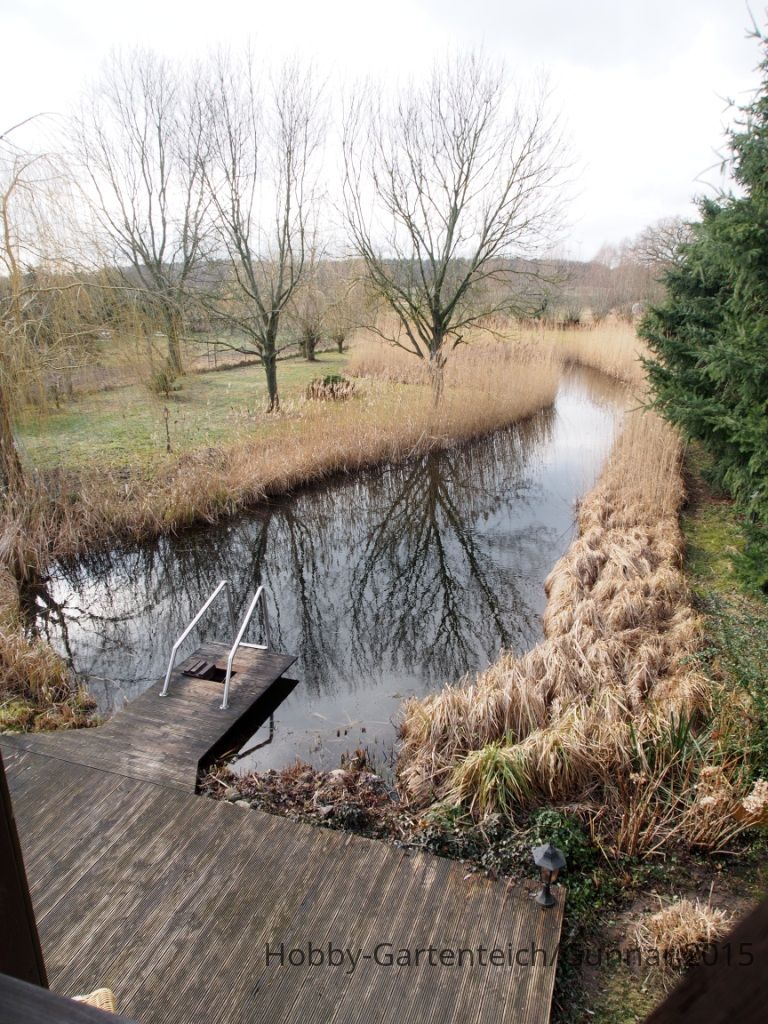 Teich 2015 002e.JPG