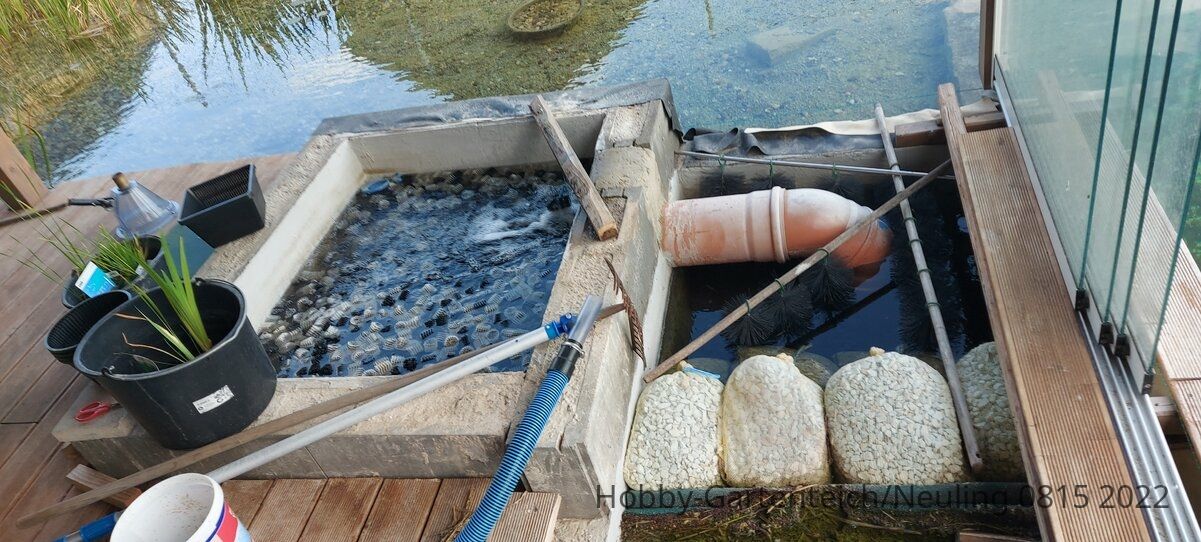 Teich.jpg