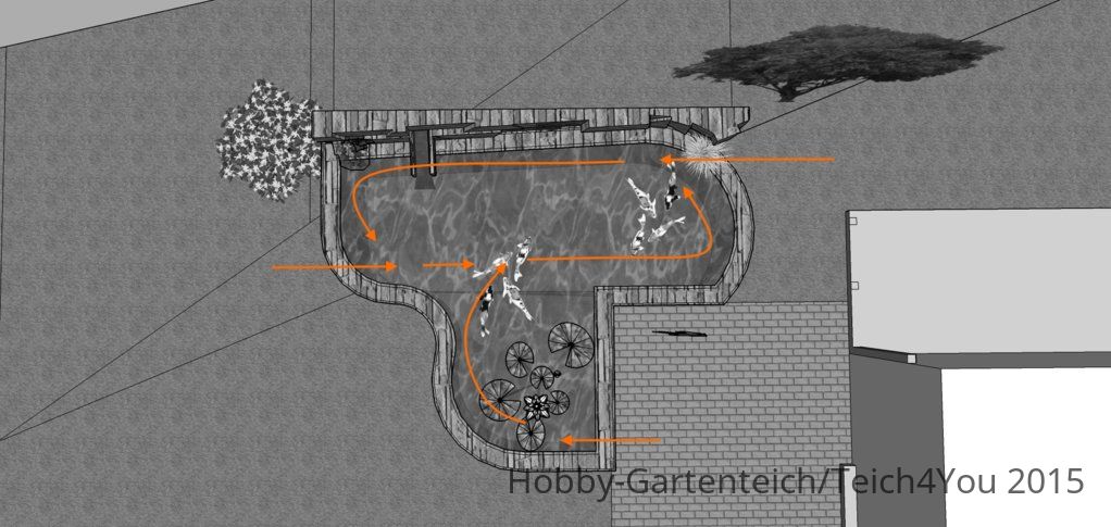 Terrasseneckteich V2_strömung.jpg