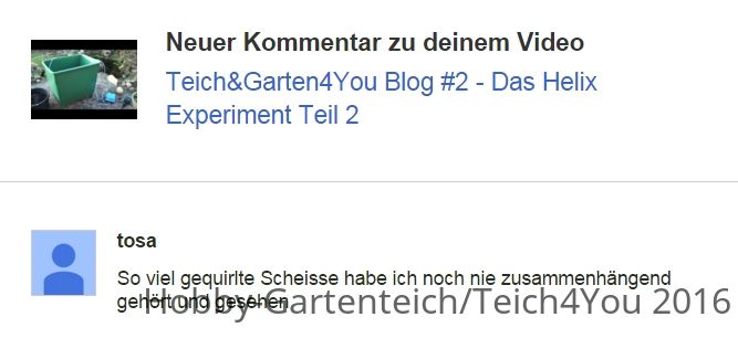 tosa der tolle hecht im koiteich.jpg