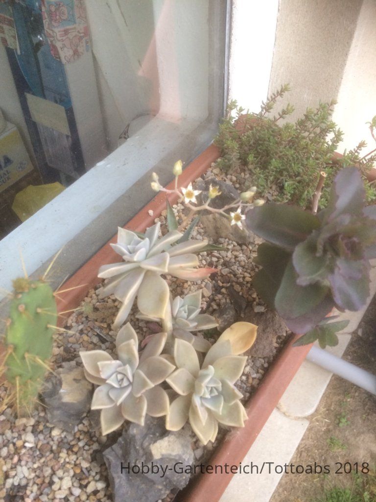 upload_2018-10-24_23-9-33.jpeg