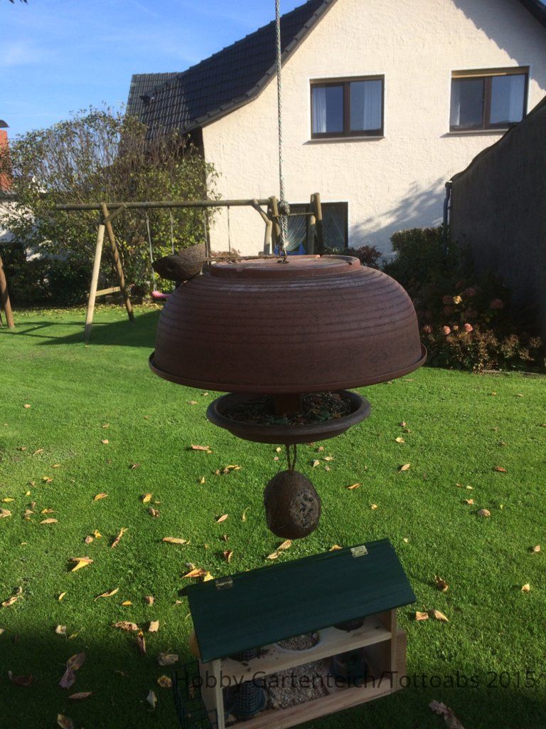 Vogelhaus IMG_1988.JPG