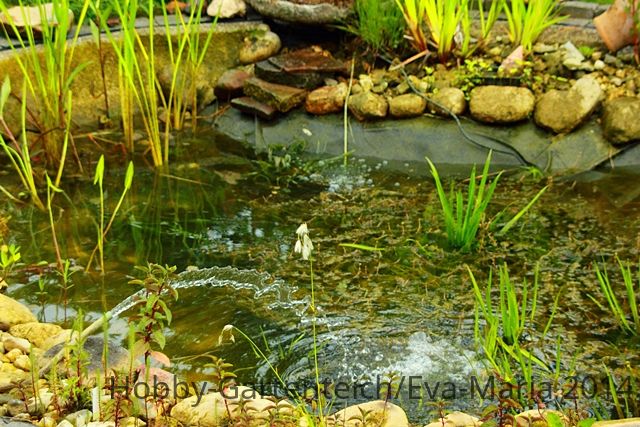 Wasser auffüllen2_640.JPG