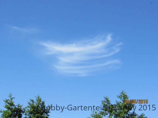 Wolke IMG_3665.JPG