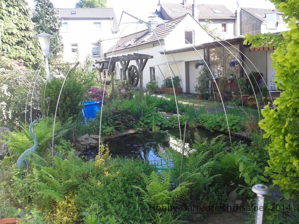WP_000046.jpg