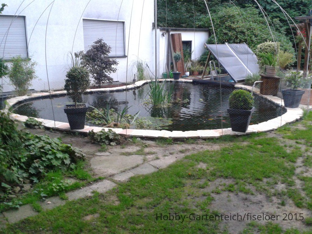 WP_000343.jpg