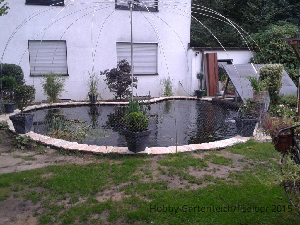WP_000344.jpg