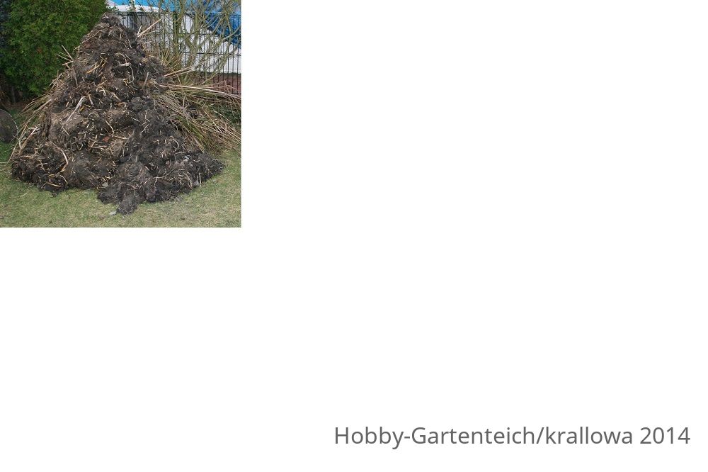 Wurzeln.jpg