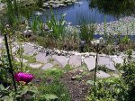 dscn1463_002.jpg