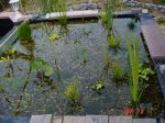 neue_bilder_061.jpg