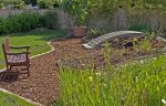 moorbeet-05_06_05_299.jpg