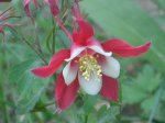 dscn6815neu.jpg