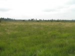 p1_145.jpg