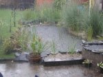 dscn7098_126.jpg