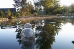 tau_auf_dem_teich_109.jpg