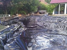 WP_000877.jpg