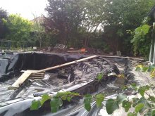 WP_000888.jpg