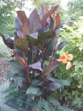 20130909_194025.jpg