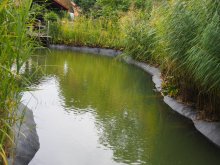 Teichreinigung 2013 064.jpg