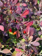 K800_2013-09-29 15.29.07.JPG
