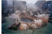Teich-2001_0002.jpg