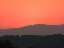 IMG_6711.jpg
