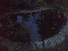 IMG-20131114-00203.jpg IMG-20131114-00203.jpg