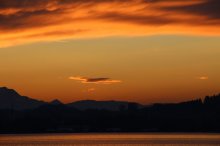 IMG_3044 (1030x687).jpg