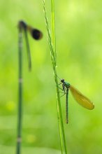 20130514_Bild-3.jpg 20130514_Bild-3.jpg