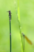 20130514_Bild-2.jpg 20130514_Bild-2.jpg