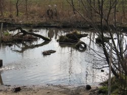 27.02.2014 Teich 3.JPG