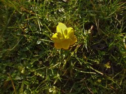 K800_DSCF2520.JPG