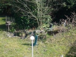 20140313_131711.jpg