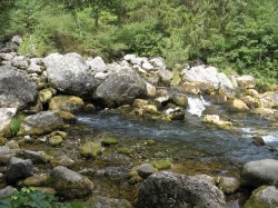 IMG_3223.JPG