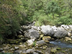 IMG_3224.JPG