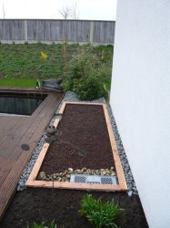 Foto 1.JPG