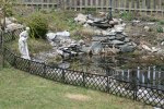 IMG_9989.jpg