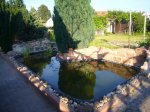 Teich 1.JPG