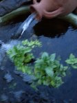 20140430_204418615923828.jpg