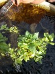 20140503_172332615923828.jpg
