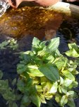 20140503_172336604283621.jpg