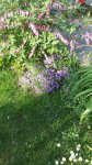 20140429_174042.jpg