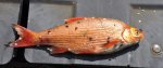 DSC_0577.JPG DSC_0577.JPG