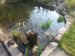 IMG-20140426-WA0000.jpg
