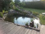 IMG-20140426-WA0001.jpg