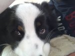 20140422_154355.jpg