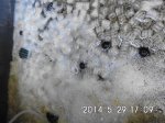 DSCI0175.JPG DSCI0175.JPG