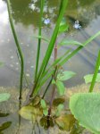 DSC03924.JPG