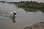 _DSC0210.JPG _DSC0210.JPG