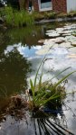 20140622_102629.jpg 20140622_102629.jpg